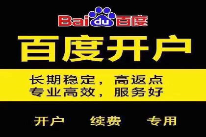 案例分享：专业SEM托管助力品牌崛起